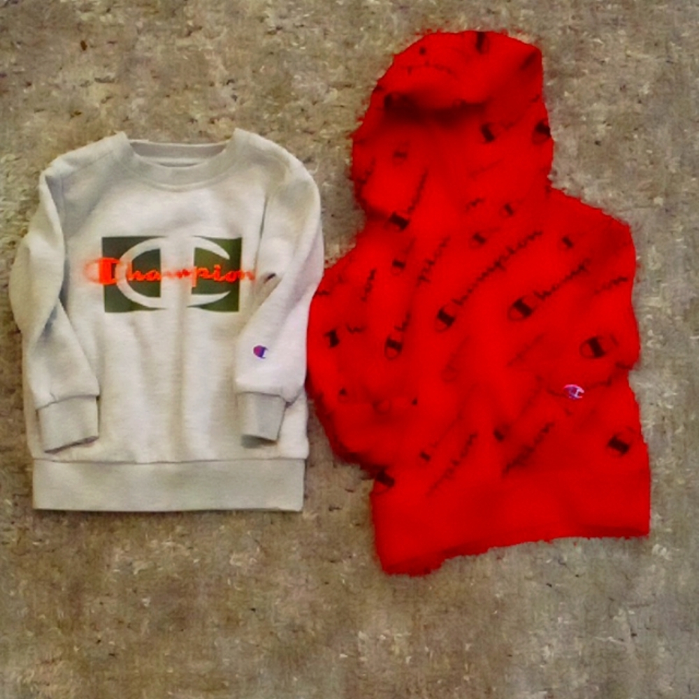 A gray sweatshirt. Never worn. Bright pink across chest says Champions